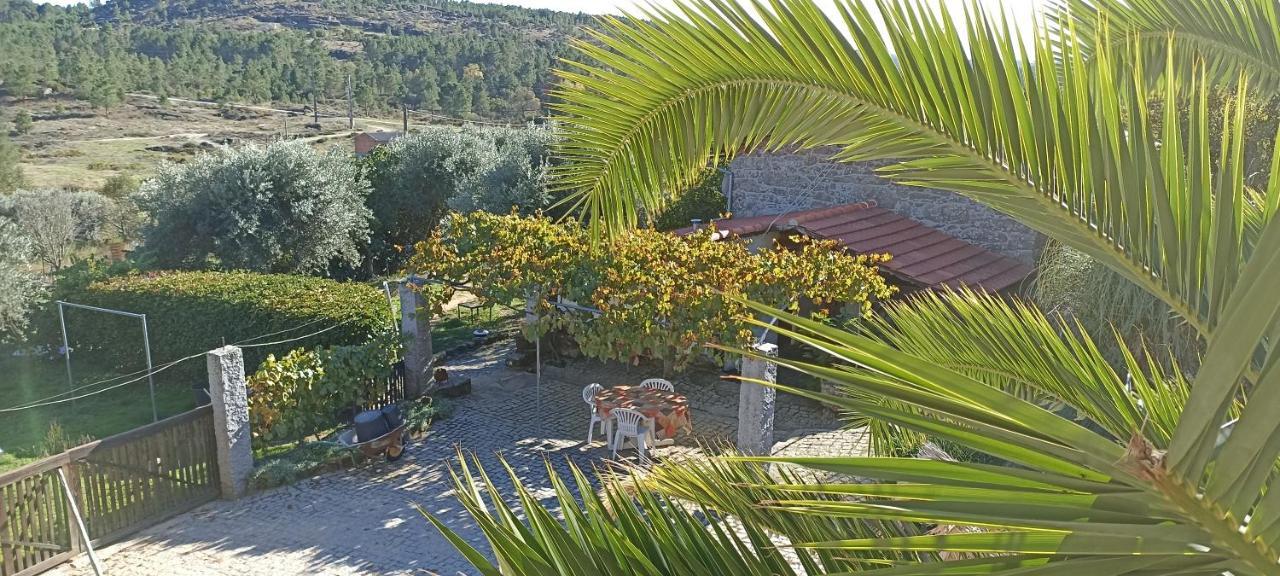 Quinta Do Mineiro-Serra Da Estrela Matanca Ngoại thất bức ảnh