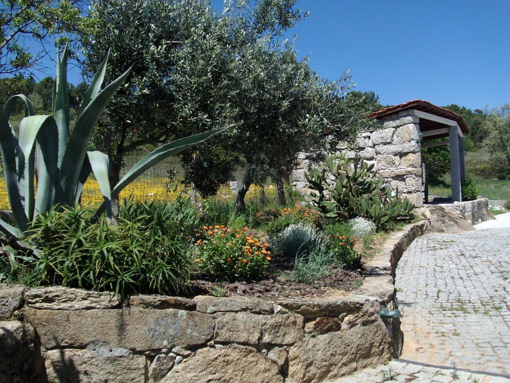 Quinta Do Mineiro-Serra Da Estrela Matanca Phòng bức ảnh