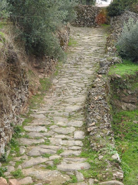 Quinta Do Mineiro-Serra Da Estrela Matanca Ngoại thất bức ảnh