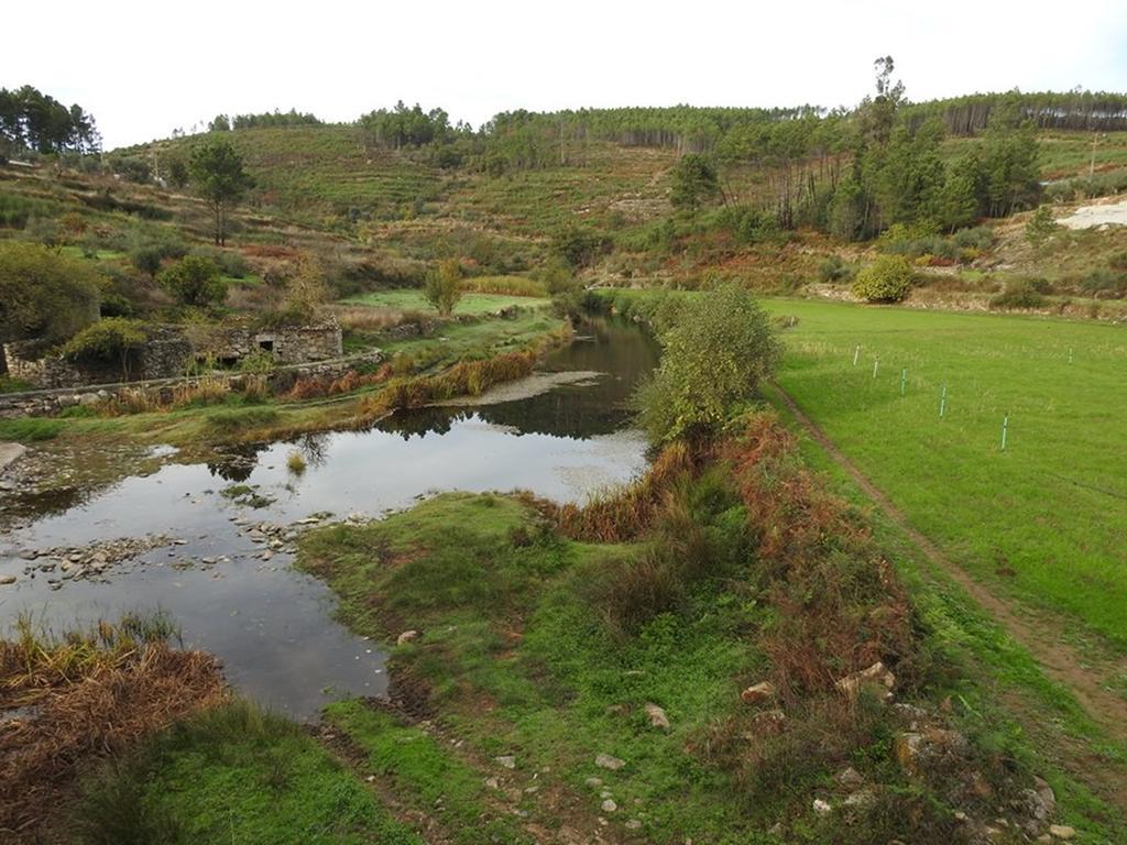 Quinta Do Mineiro-Serra Da Estrela Matanca Ngoại thất bức ảnh